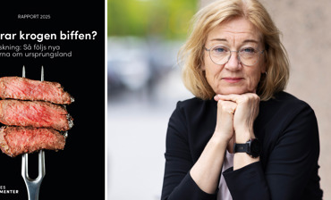 Porträttbild av Johanna Hållén tillsammans med omslaget till rapporten "Klarar krogen biffen?".